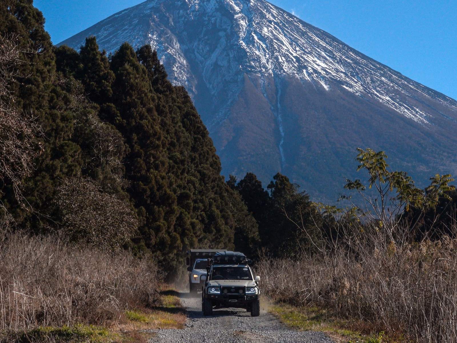 Trail vehicle near forest edge