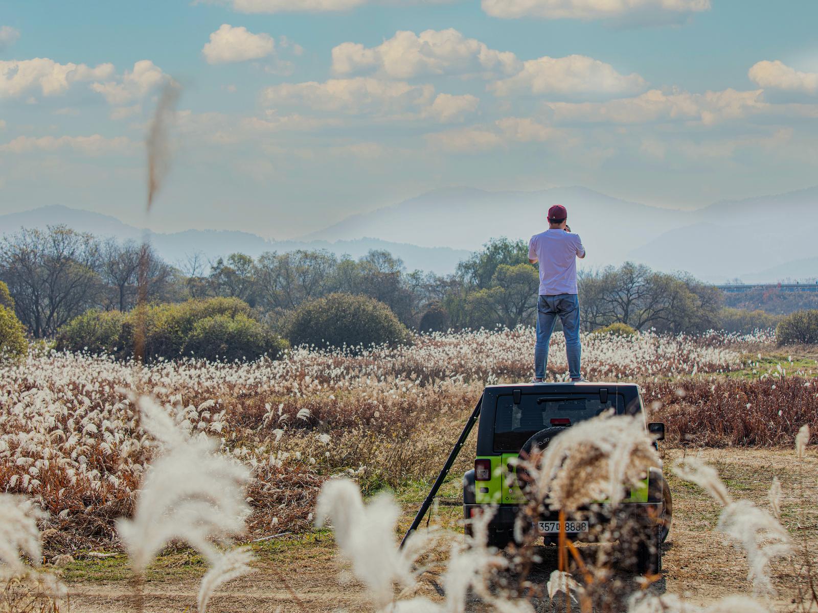 Field filming at golden hour
